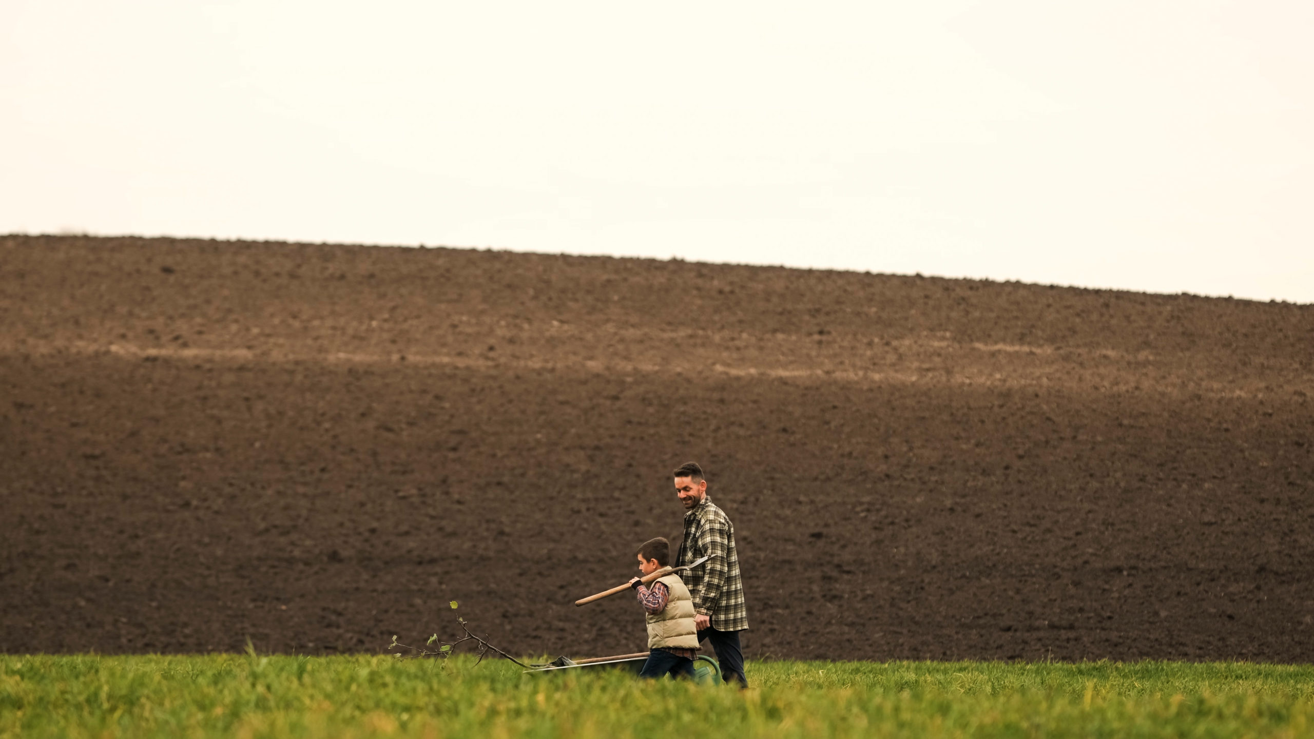 The father and son working in the field
