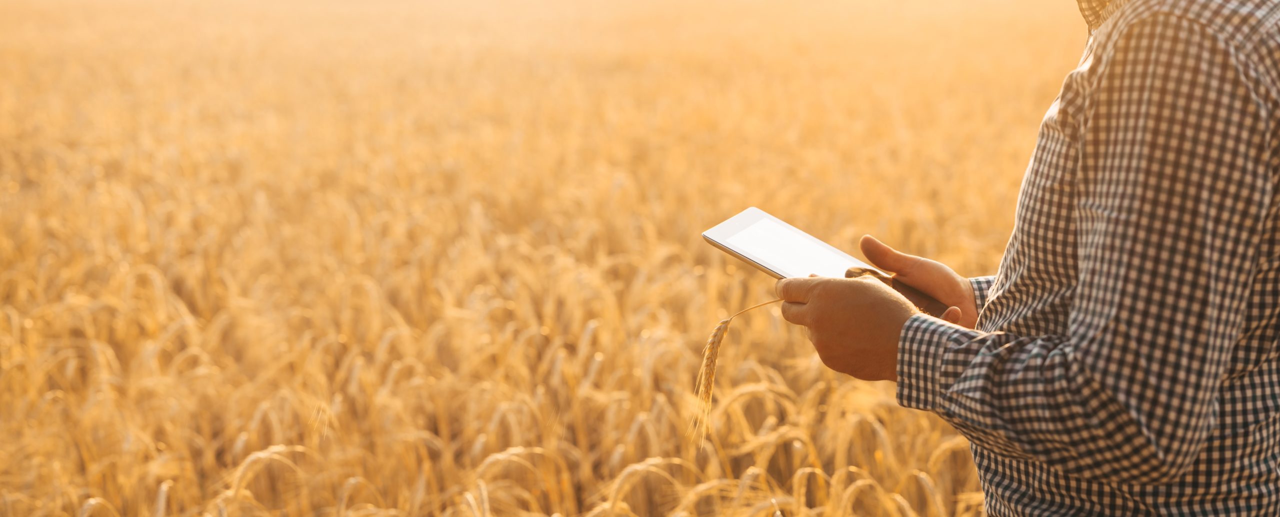 Lire la suite à propos de l’article Les agriculteurs et la vidéo : un nouvel outil de communication agricole